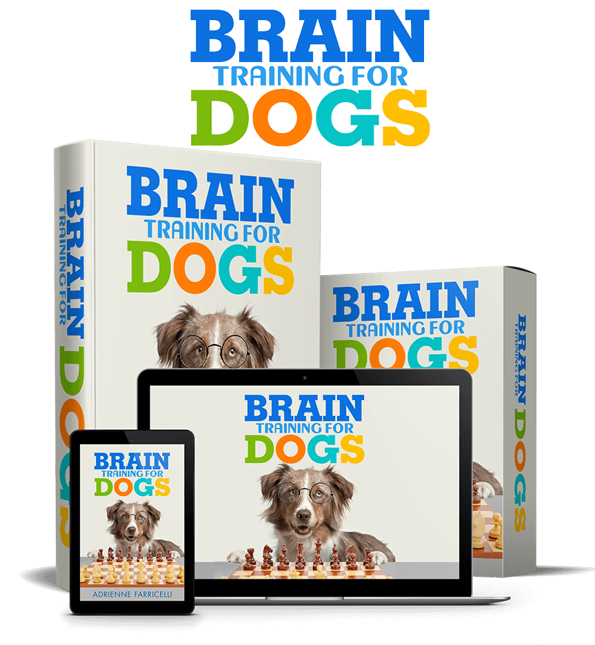 Brain Training for Dogs official program logo