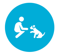 Obedient dog